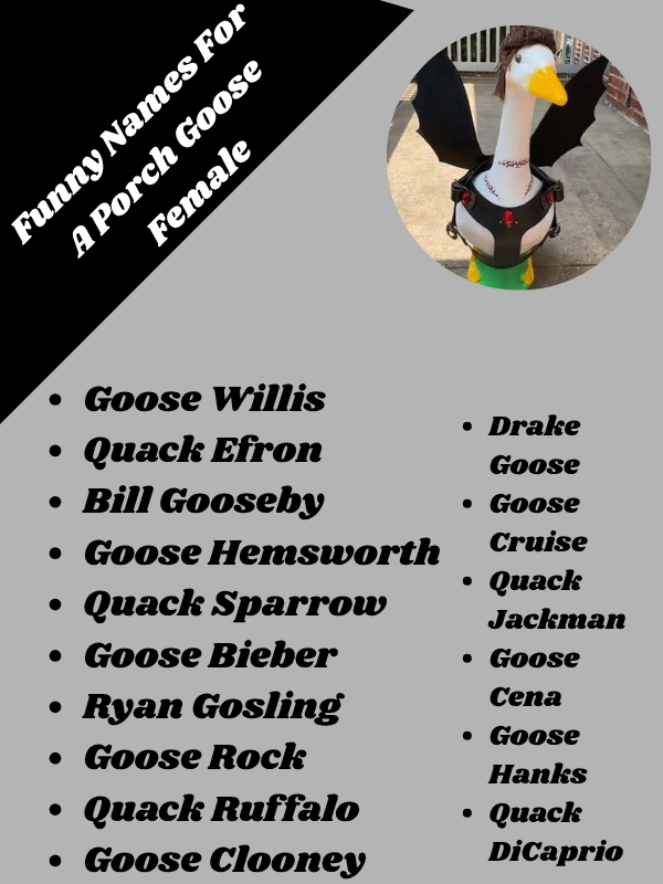 Funny Celebrity Porch Goose Names