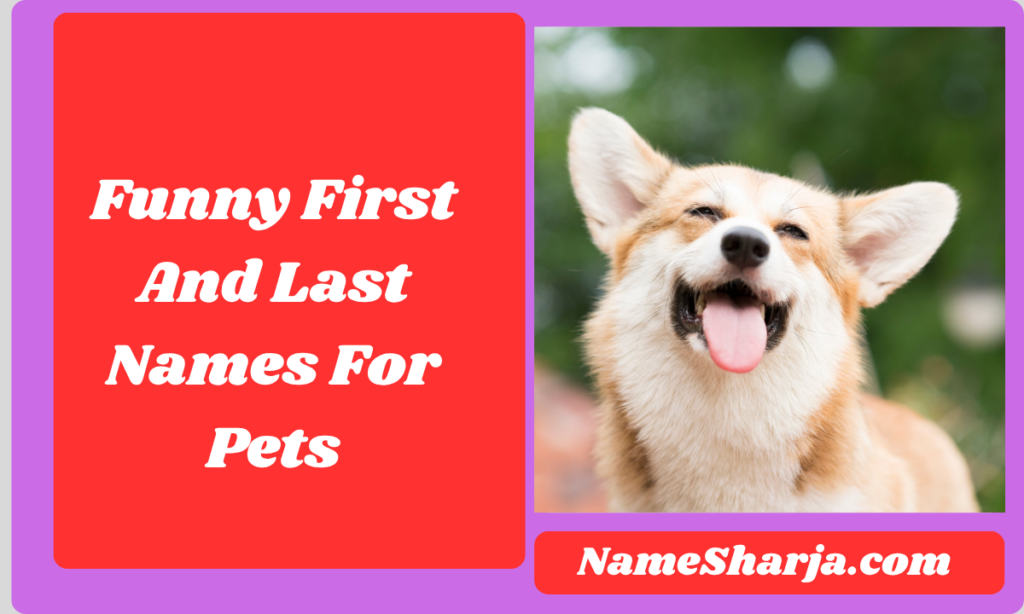 Funny First And Last Names For Pets