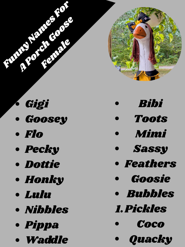 Funny Names For A Porch Goose Female