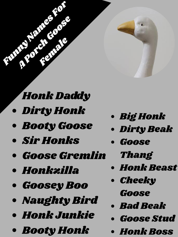 Funny Porch Goose Names Dirty