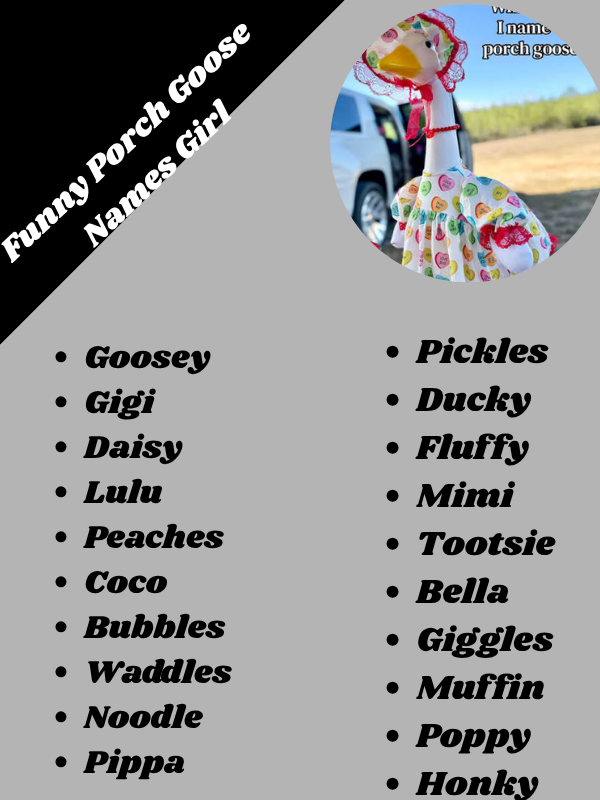 Funny Porch Goose Names Girl
