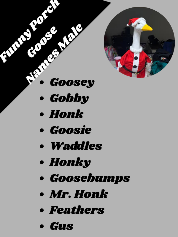 Funny Porch Goose Names Male