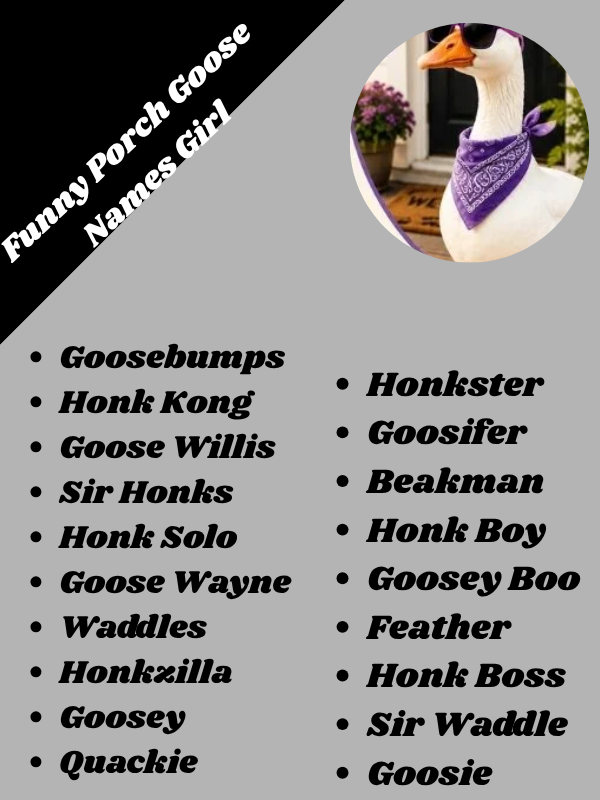 Funny Porch Goose Names Puns