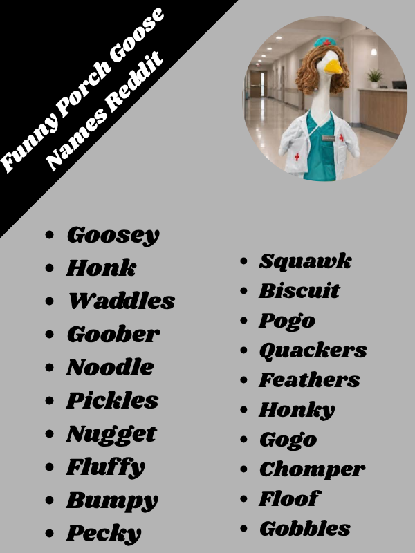 Funny Porch Goose Names Reddit