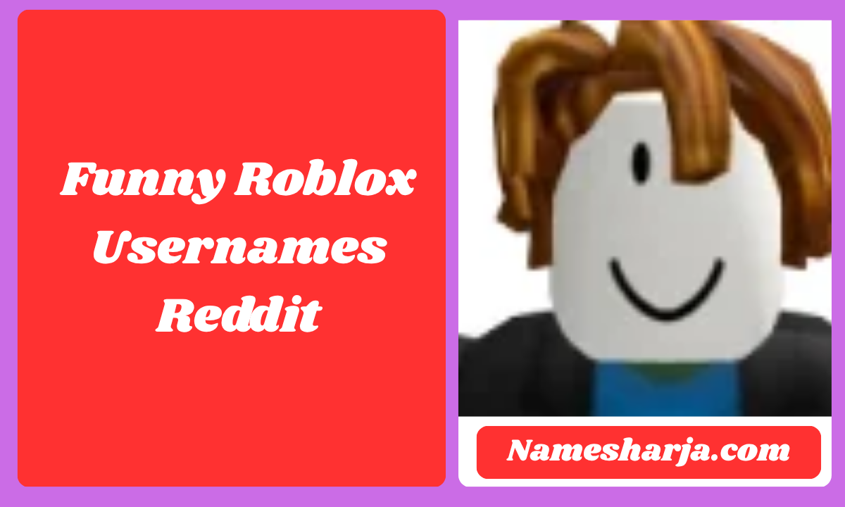 Funny Roblox Usernames Reddit