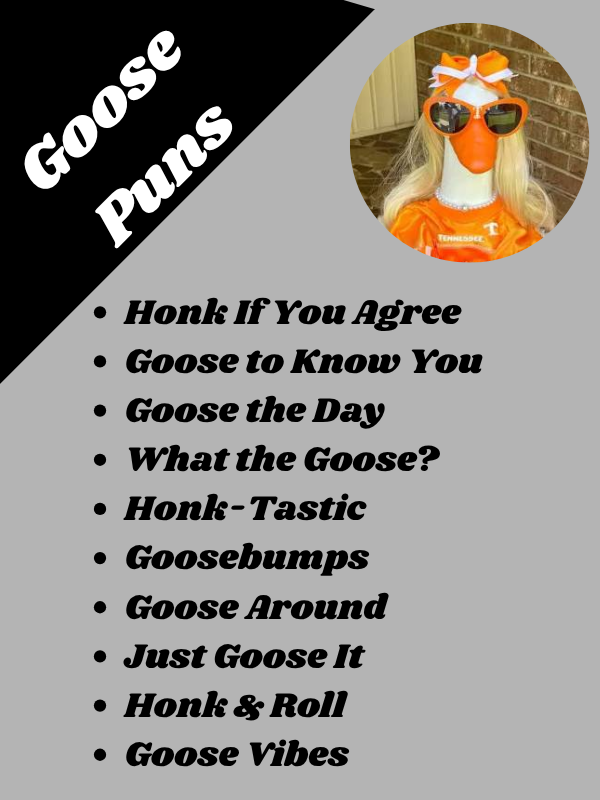 Goose Puns