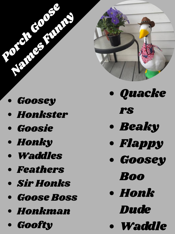 Porch Goose Names Funny